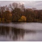 Herbst im Kaisergarten (22)