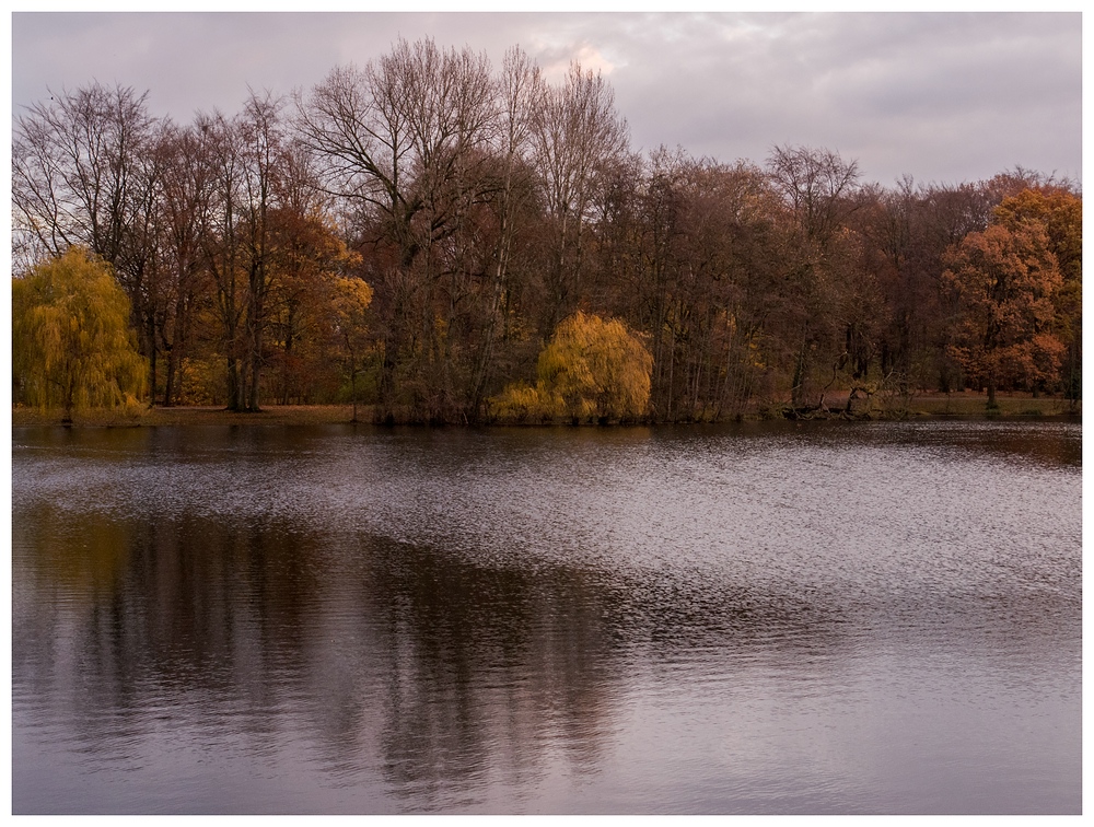 Herbst im Kaisergarten (22)