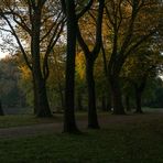 Herbst im Kaisergarten (3)