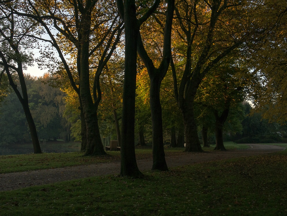 Herbst im Kaisergarten (3)