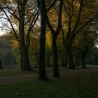 Herbst im Kaisergarten (3)