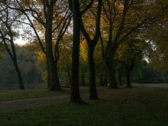 Herbst im Kaisergarten (3)