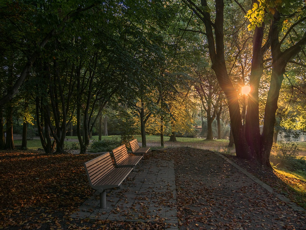 Herbst im Kaisergarten (4)