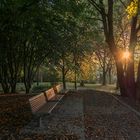 Herbst im Kaisergarten (4)