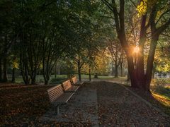 Herbst im Kaisergarten (4)