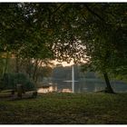 Herbst im Kaisergarten (5)