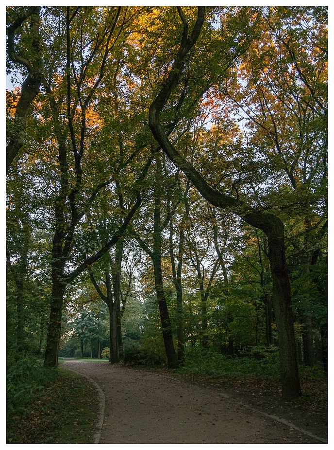 Herbst im Kaisergarten (6)