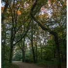 Herbst im Kaisergarten (6)