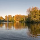 Herbst im Kaisergarten (7)