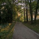 Herbst im Kaisergarten (8)