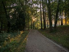 Herbst im Kaisergarten (8)