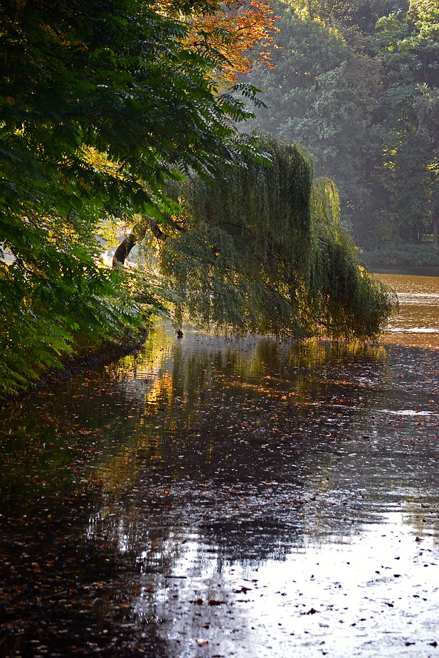 Herbst im Kaisergarten