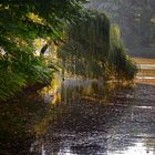 Herbst im Kaisergarten