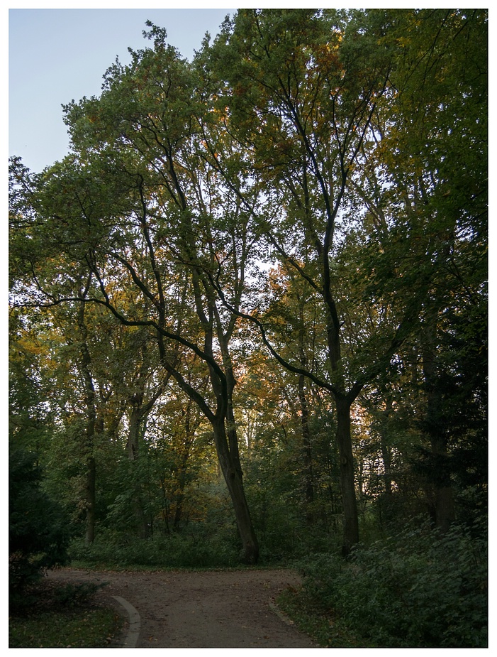 Herbst im Kaisergarten (9)