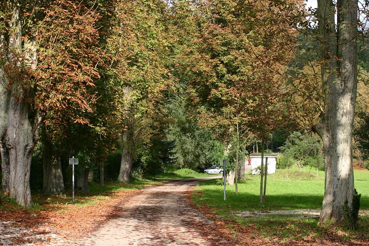 Herbst im Kaiserstuhl