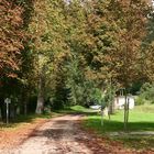 Herbst im Kaiserstuhl