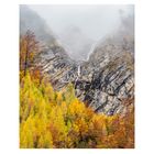 Herbst im Kalkalpen Nationalpark