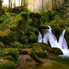 Herbst im Kaltbrunnental