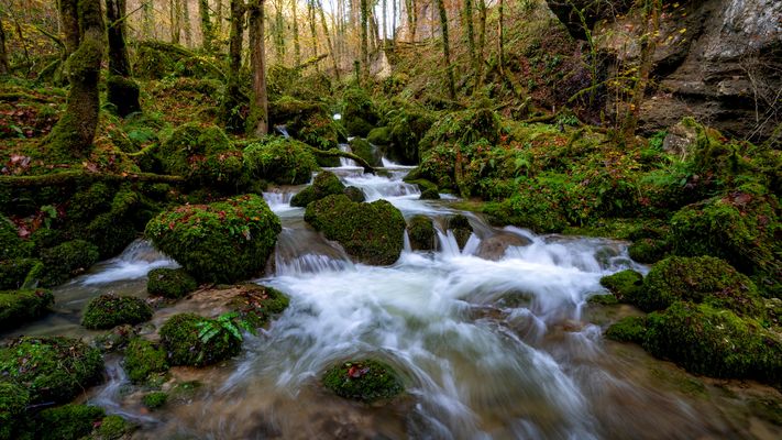 Herbst im kalten Tal...