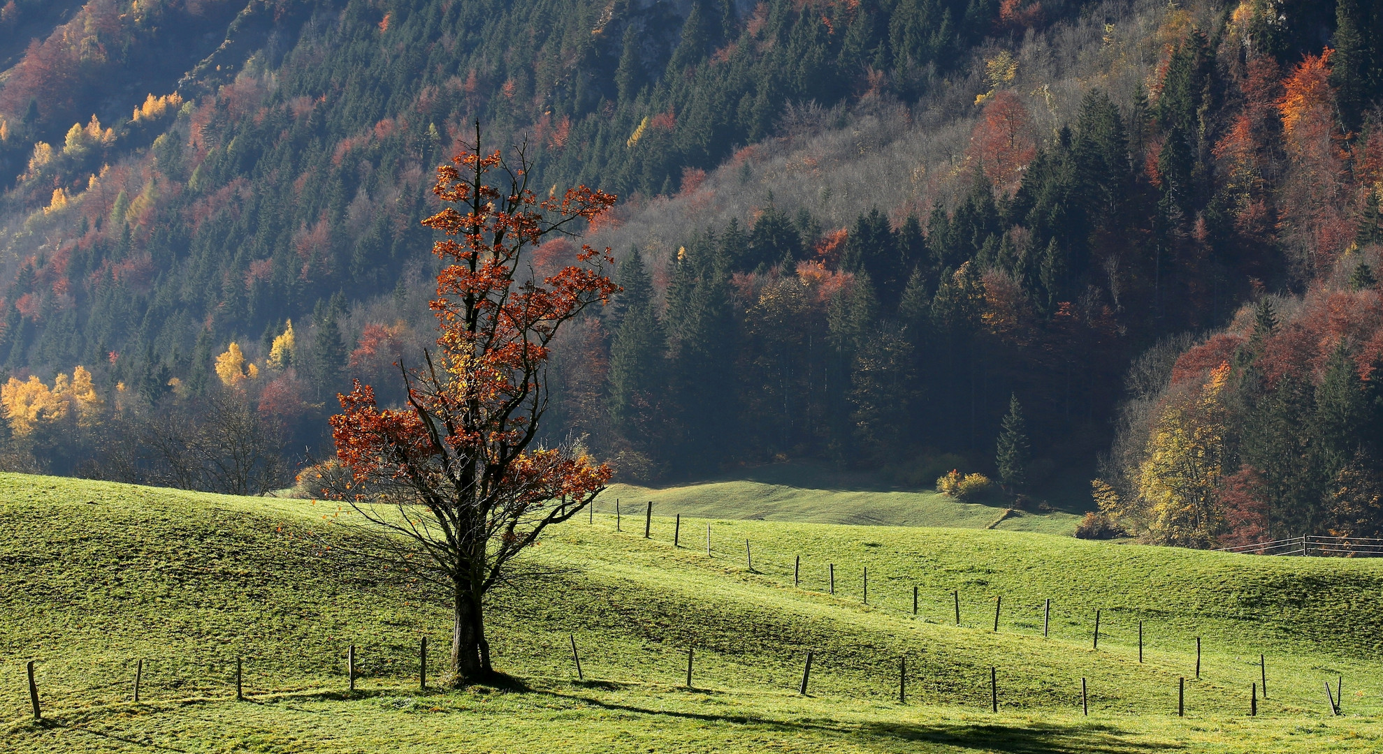 Herbst im Kandertal