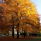 Herbst im Kantpark 01