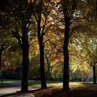 Herbst im Kantpark 02