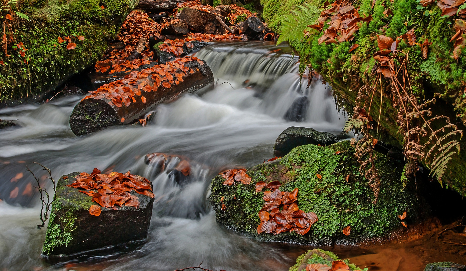 "Herbst im Karlstal"