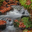 "Herbst im Karlstal"