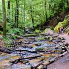 Herbst im Karlstal