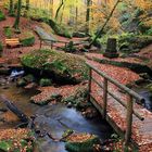 Herbst im Karlstal