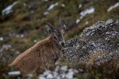 Herbst im Karwendel