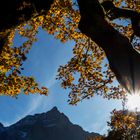 Herbst im Karwendel