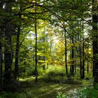 Herbst im Karwendel