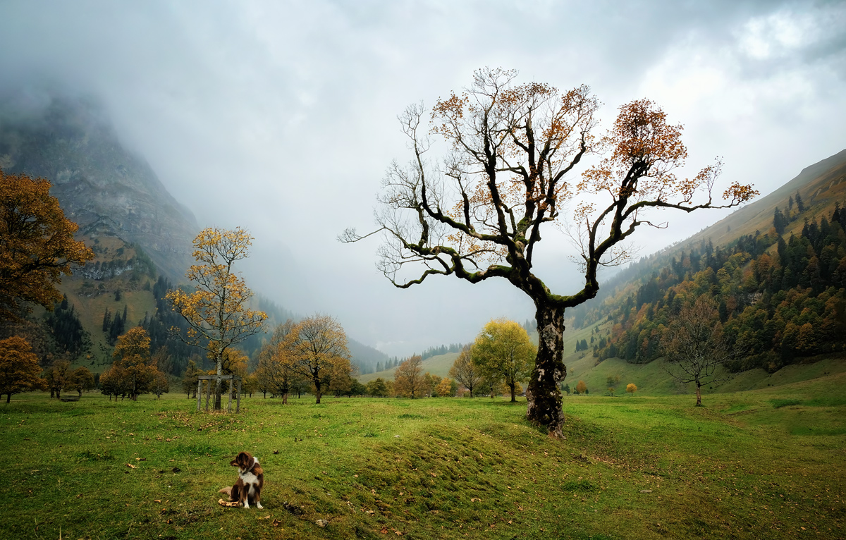 Herbst im Karwendel