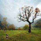 Herbst im Karwendel