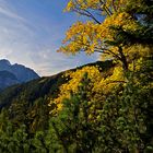 Herbst im Karwendel