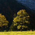 Herbst im Karwendel