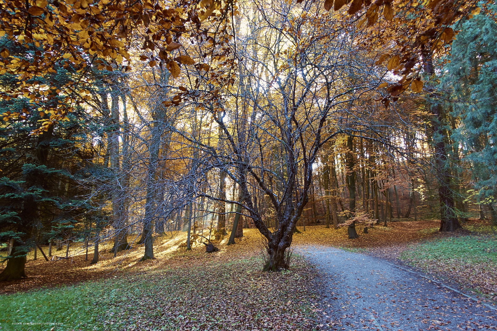 Herbst im Kassel, Schloßpark Wilhemshöhe