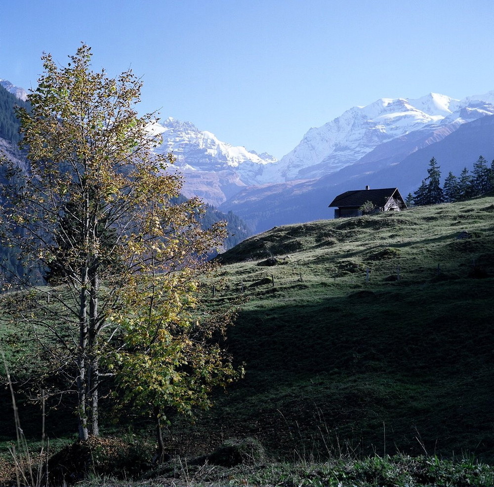 Herbst im Kiental (2)