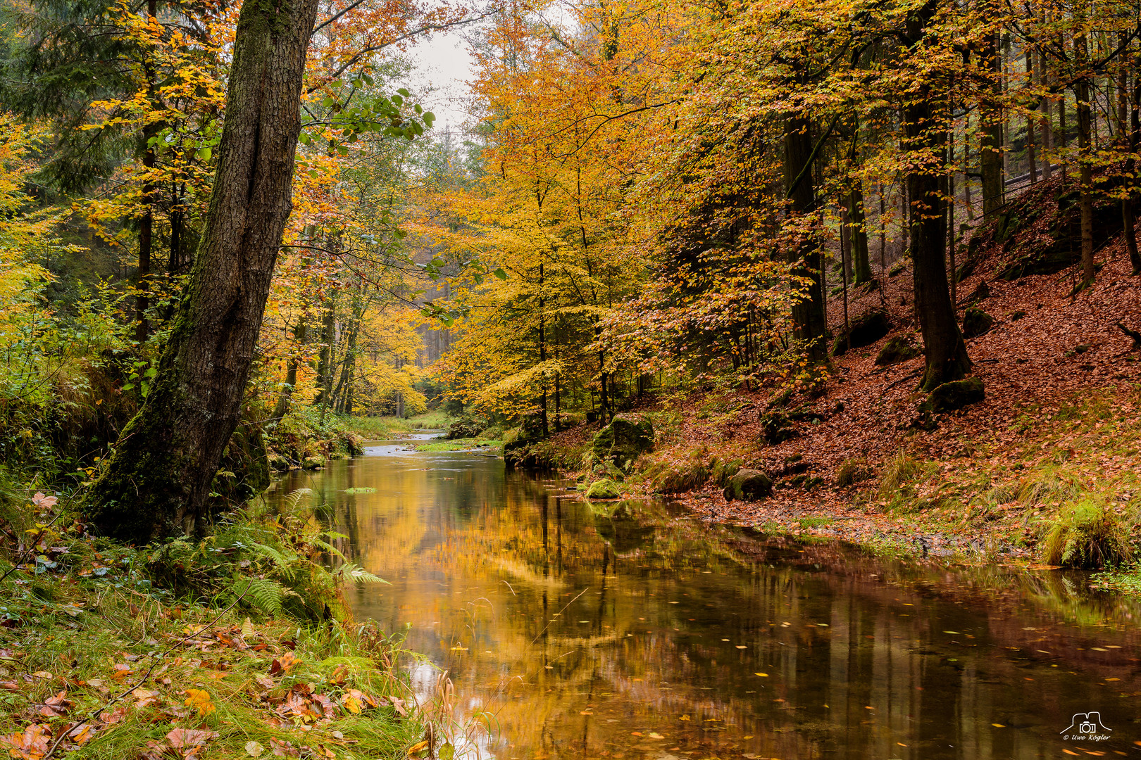 Herbst im Kirnitzschtal