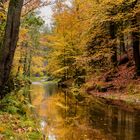 Herbst im Kirnitzschtal