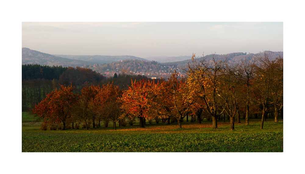 Herbst im Kirschgarten