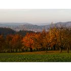 Herbst im Kirschgarten