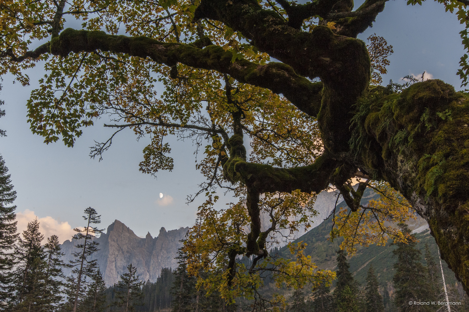 Herbst im kleinen Ahornboden