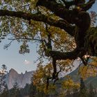 Herbst im kleinen Ahornboden