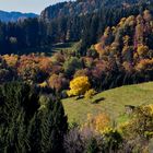 Herbst im kleinen Wiesental