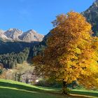 Herbst im Kleinwalsertal