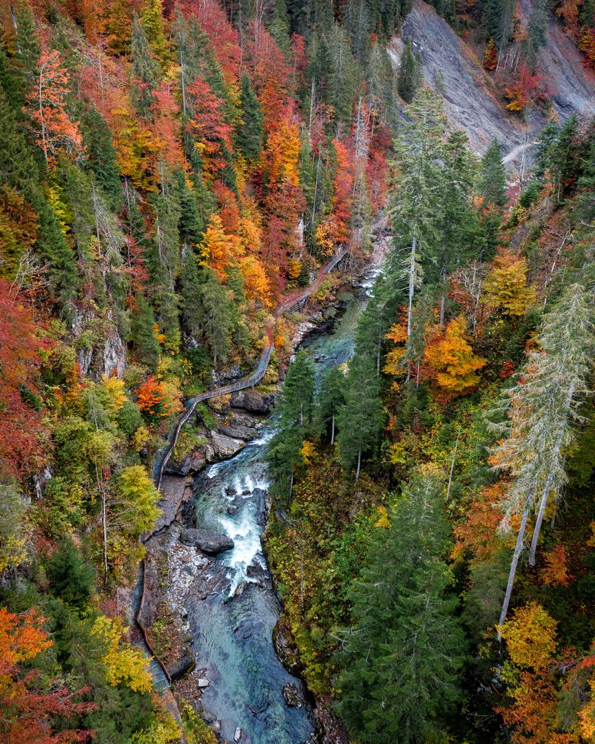 Herbst im Kleinwalstertal