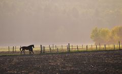 Herbst im Klettgau