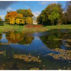 Herbst im Klosterbergegarten